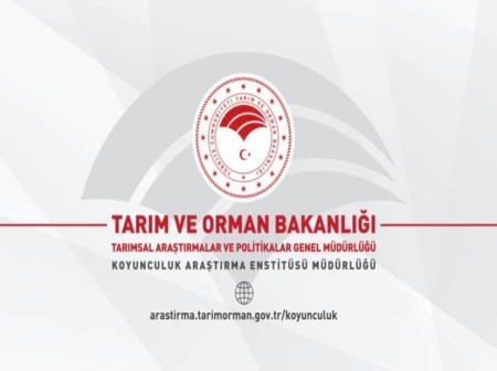 Banek Kümes Ekipmanları